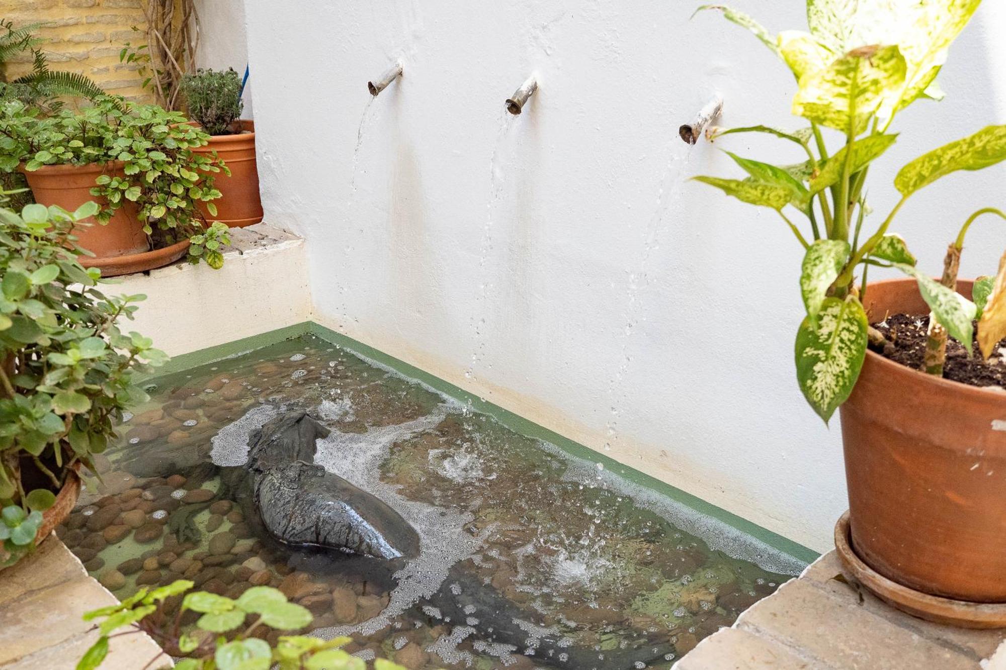 Bed and Breakfast La Casa 1832 Boutique Sanlúcar de Barrameda Exterior foto